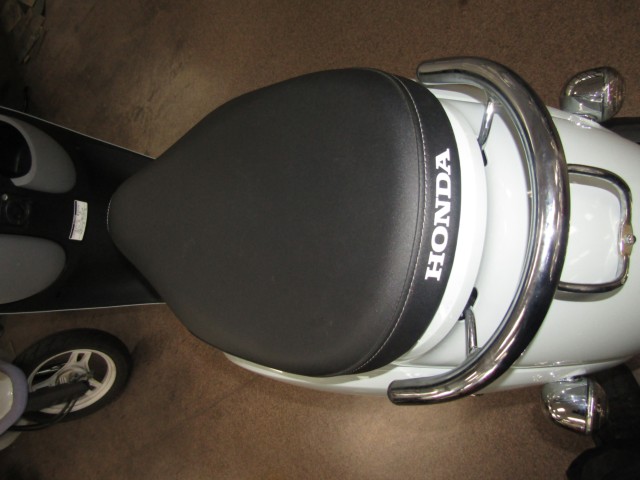 �z���_�W�����m�i���Q�����R�s�j�摜11