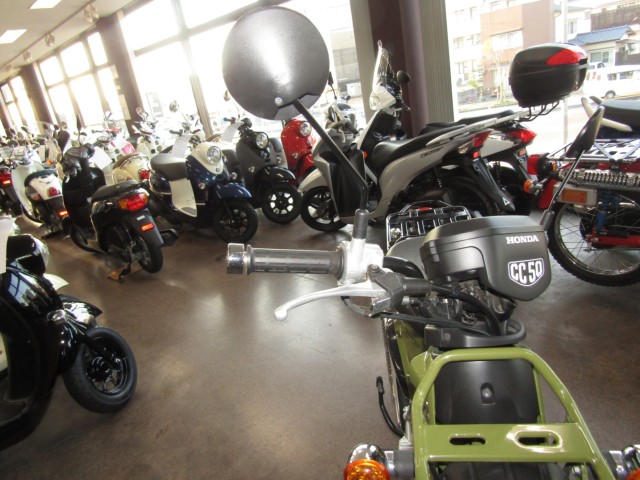 �z���_�N���X�J�u50�i���Q�����R�s�j�摜13