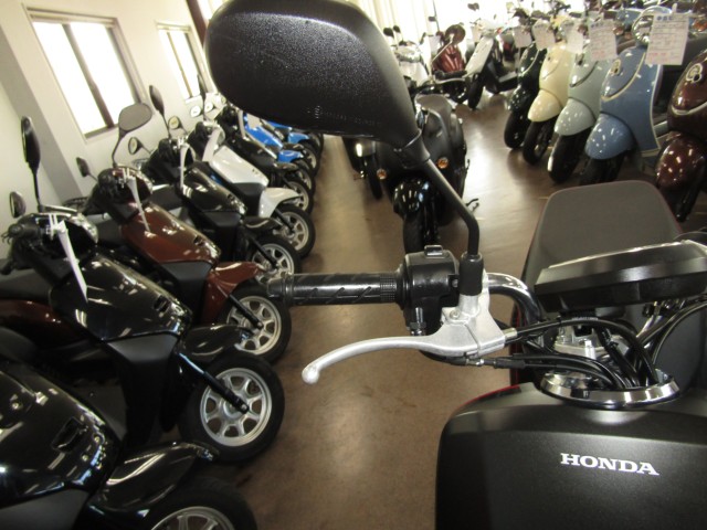 �z���_Dunk�i���Q�����R�s�j�摜13