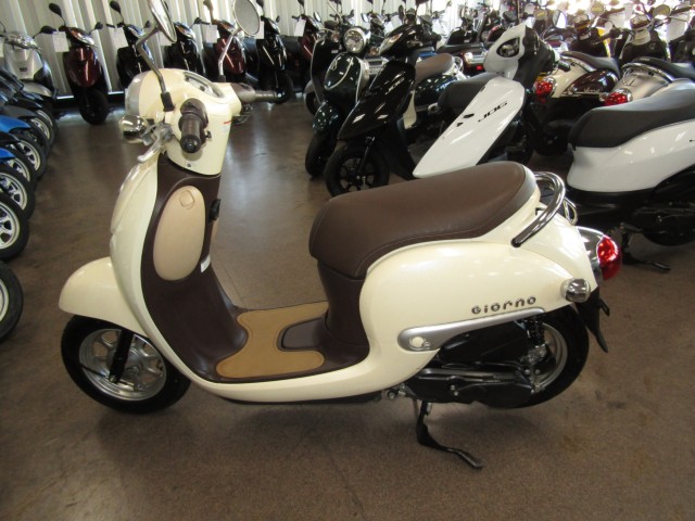 �z���_�W�����m�i���Q�����R�s�j�摜2