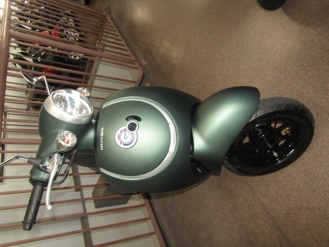 �z���_�W�����m�i���Q�����R�s�j�摜3