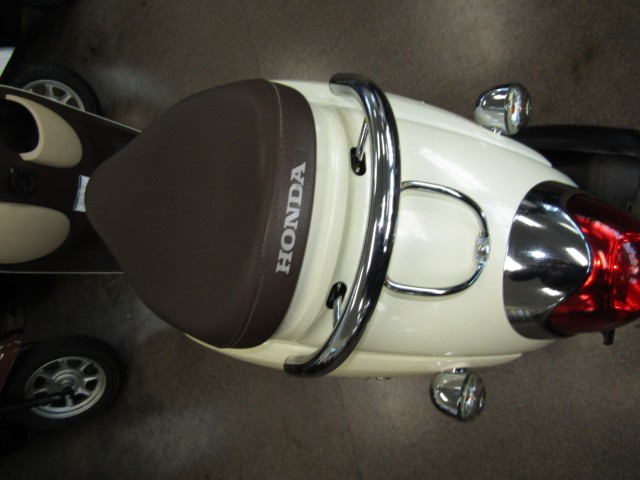 �z���_�W�����m�i���Q�����R�s�j�摜11