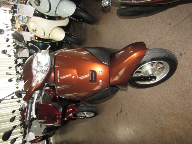 �z���_�^�N�g�E�x�[�V�b�N�i���Q�����R�s�j�摜3