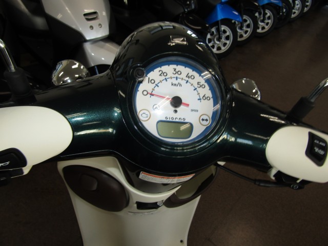 �z���_�W�����mDX�i���Q�����R�s�j�摜12