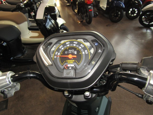 �z���_�N���X�J�u50�i���Q�����R�s�j�摜12