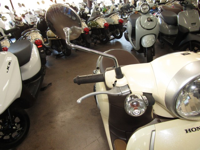 �z���_�W�����m�i���Q�����R�s�j�摜13