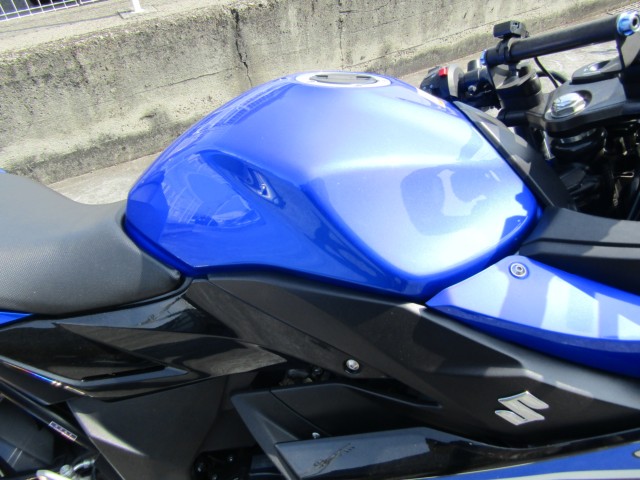 XYLGSX250RiQRsj摜7