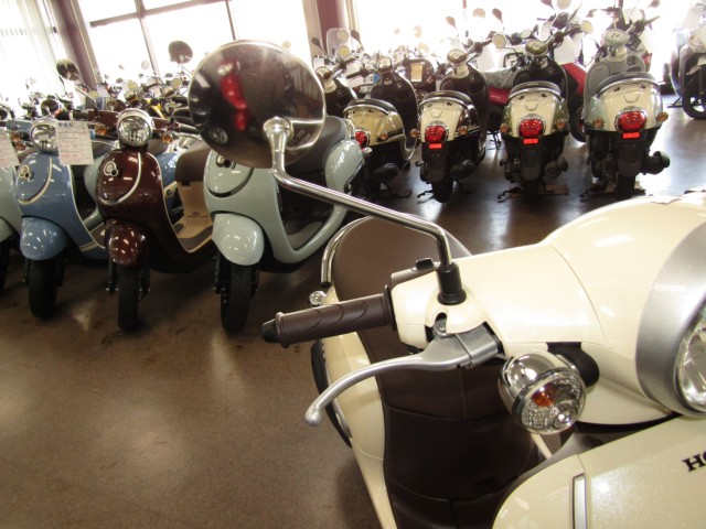 �z���_�W�����m�i���Q�����R�s�j�摜13