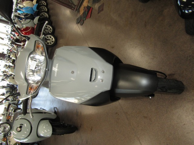 �z���_�^�N�g�E�x�[�V�b�N�i���Q�����R�s�j�摜3