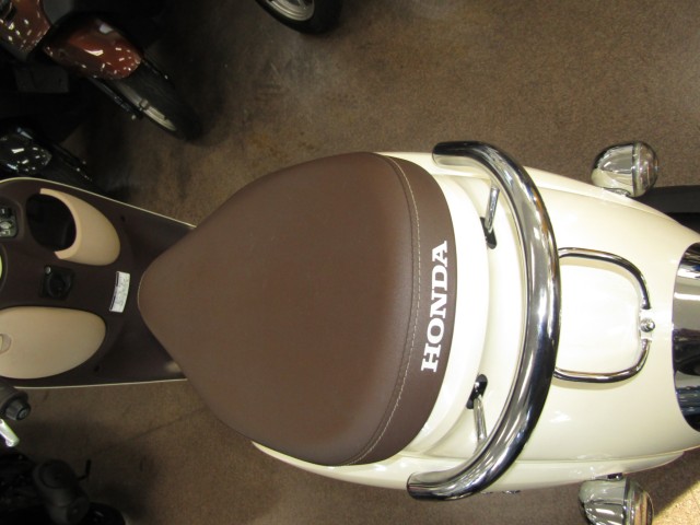 �z���_�W�����m�i���Q�����R�s�j�摜11