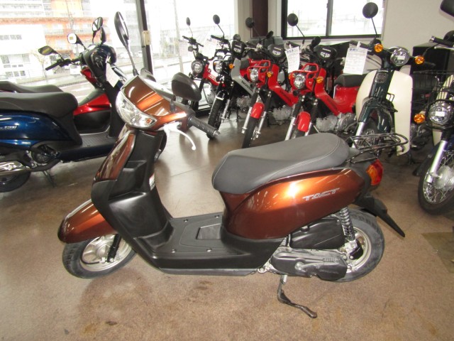 �z���_�^�N�g�E�x�[�V�b�N�i���Q�����R�s�j�摜2