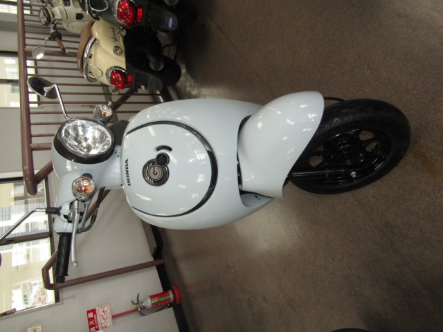 �z���_�W�����m�i���Q�����R�s�j�摜3