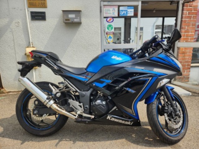 �J���T�LNinja250�i���Q�����R�s�j�摜2