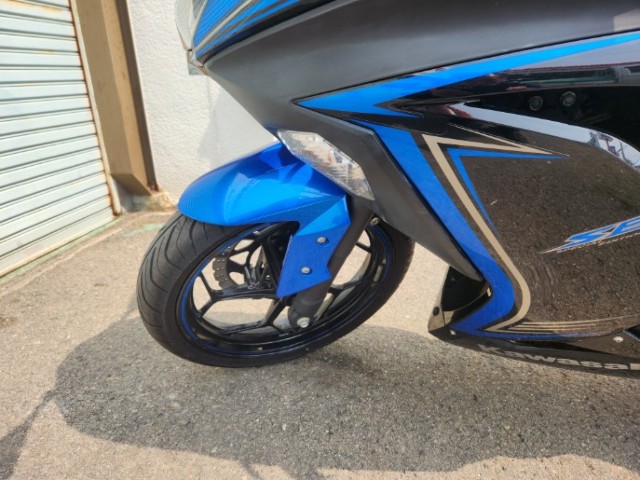 �J���T�LNinja250�i���Q�����R�s�j�摜9