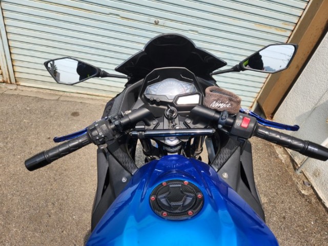 �J���T�LNinja250�i���Q�����R�s�j�摜11