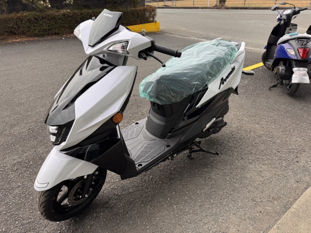 �X�Y�L�A���F�j�X125�i���Q���쑽�S���q���j�摜8