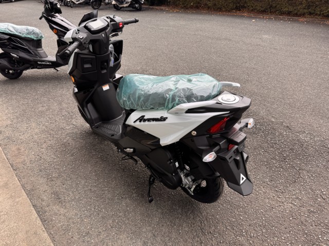 �X�Y�L�A���F�j�X125�i���Q���쑽�S���q���j�摜2