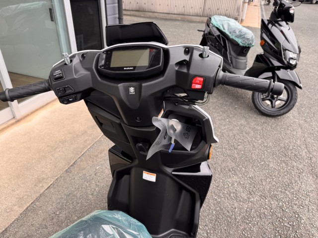 �X�Y�L�A���F�j�X125�i���Q���쑽�S���q���j�摜6