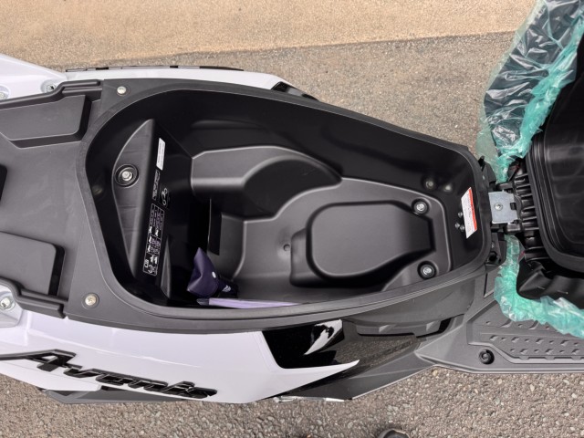 �X�Y�L�A���F�j�X125�i���Q���쑽�S���q���j�摜10