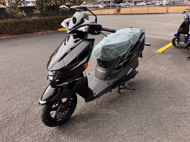 �X�Y�L�A���F�j�X125�i���Q���쑽�S���q���j�摜8