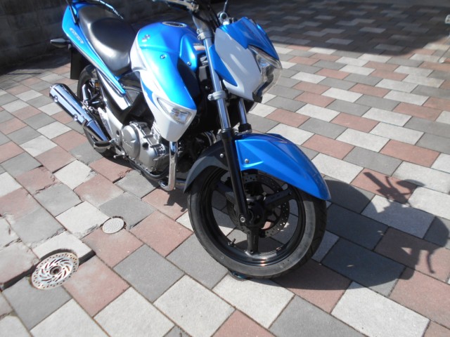 �X�Y�LGSR250�i�L�����L���s�����k��j�摜2