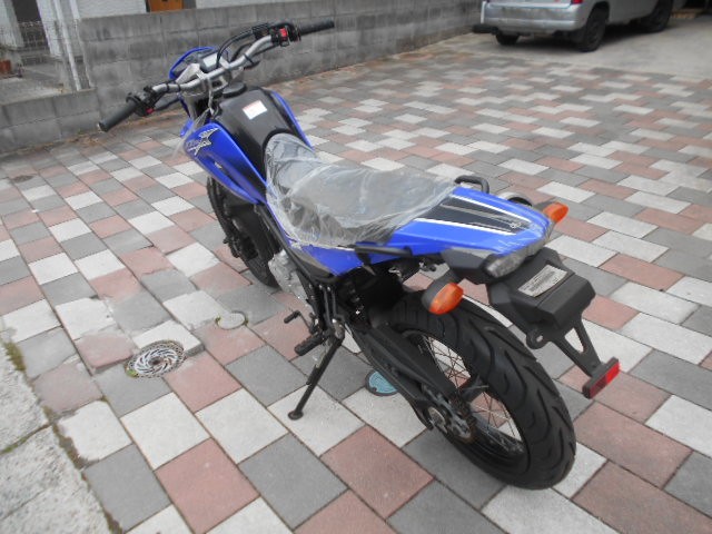 }nXT250X iLLskj摜4