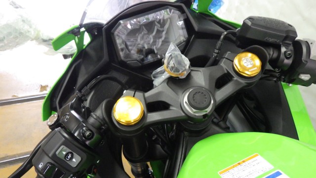 �J���T�LNinja ZX-4RR�i���Q�����R�s�j�摜20