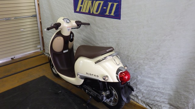 �z���_�W�����m�i���Q�����R�s�j�摜10