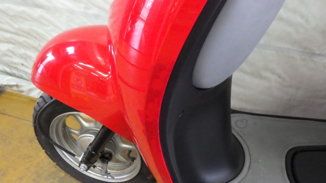 �z���_�W�����m�i���Q�����R�s�j�摜10