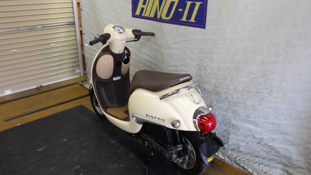 �z���_�W�����m�i���Q�����R�s�j�摜10