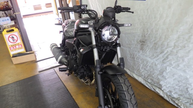 �J���T�L�G���~�l�[�^�[400�i���Q�����R�s�j�摜5