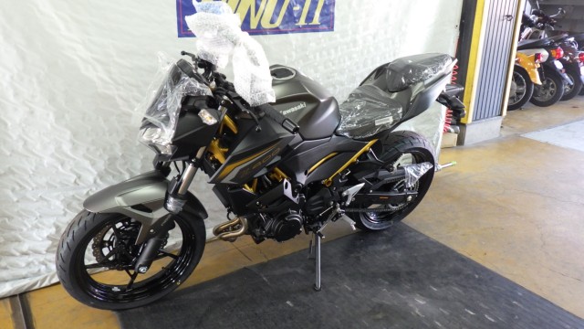 �J���T�LZ400�i���Q�����R�s�j�摜10