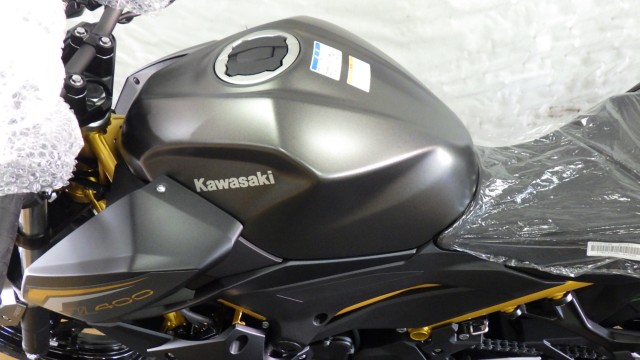 �J���T�LZ400�i���Q�����R�s�j�摜12