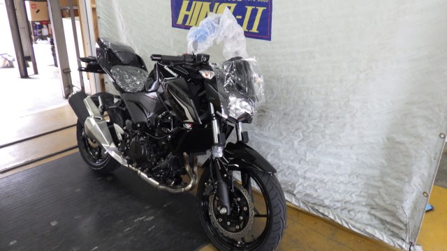 �J���T�LZ250�i���Q�����R�s�j�摜2