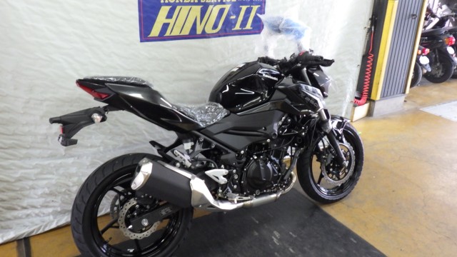 �J���T�LZ250�i���Q�����R�s�j�摜3