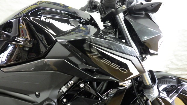 �J���T�LZ250�i���Q�����R�s�j�摜5