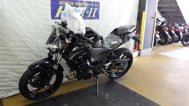 �J���T�LZ250�i���Q�����R�s�j�摜8