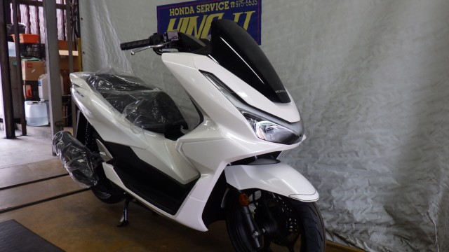 �z���_PCX�i���Q�����R�s�j�摜2
