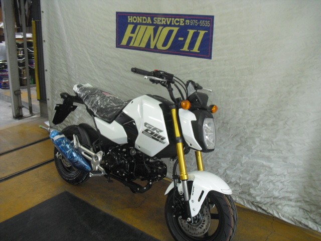 �z���_�O�����i���Q�����R�s�j�摜2