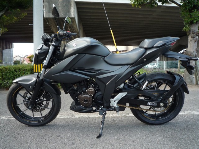 �X�Y�L�W�N�T�[250�i���Q�����R�s�j�摜2