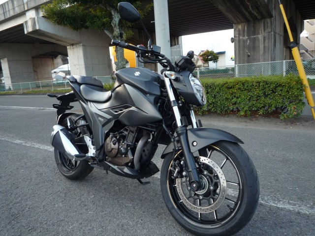 �X�Y�L�W�N�T�[250�i���Q�����R�s�j�摜5