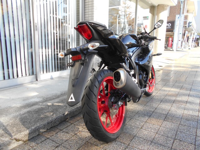 XYLGSX-R125EABSiQRsj摜5