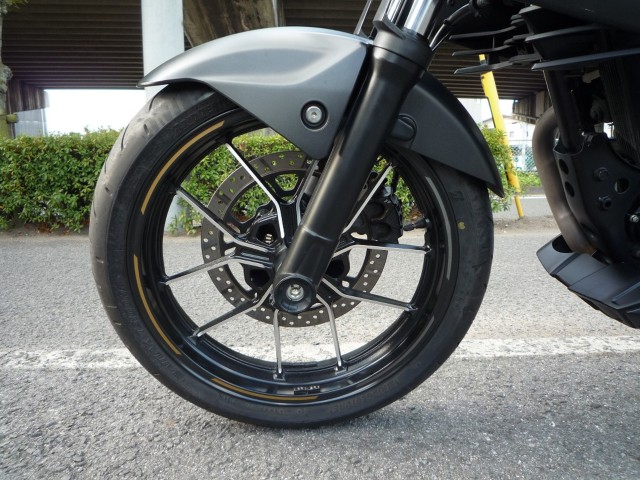 �X�Y�L�W�N�T�[250�i���Q�����R�s�j�摜17