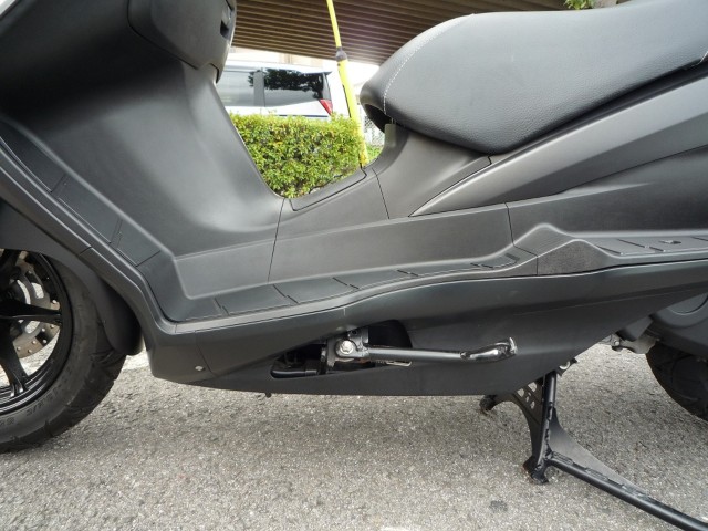 �X�Y�L�o�[�O�}��200�i���Q�����R�s�j�摜22