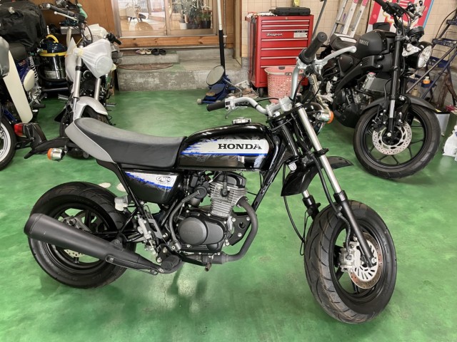 エイプ50 タイプＤ(ホンダ) / 愛媛県 南予ホンダ有限会社 中古バイク詳細 - 中古バイク探しはMjBIKEで！