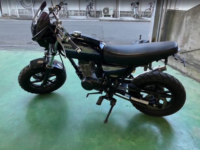 �z���_�G�C�v50�i���Q���F�a���s�j�摜21