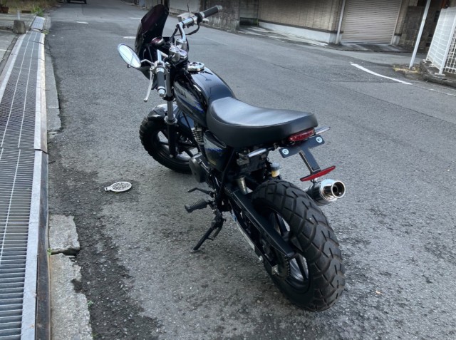 �z���_�G�C�v50�i���Q���F�a���s�j�摜4