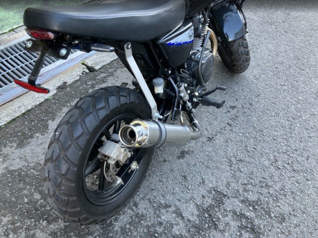 �z���_�G�C�v50�i���Q���F�a���s�j�摜5