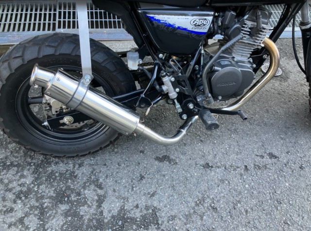 �z���_�G�C�v50�i���Q���F�a���s�j�摜6