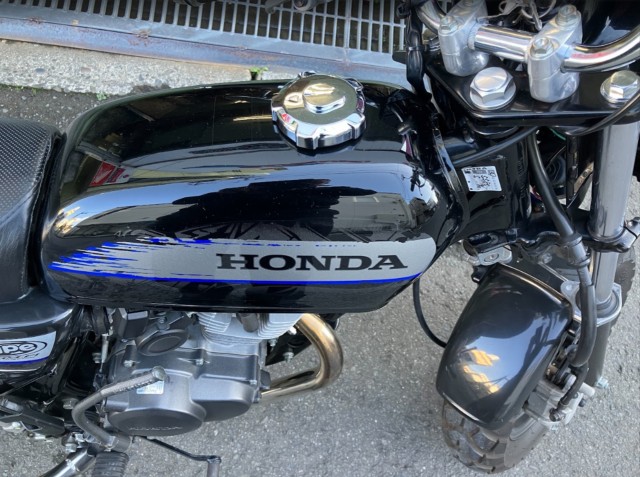 �z���_�G�C�v50�i���Q���F�a���s�j�摜8